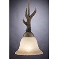 Buckhorn Pendant Fixture