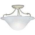 Captiva Collection Semi-flush Ceiling Fixture