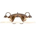 Brushed Nickel 3-light Bath Sconce