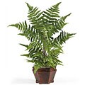 Silk Forest Fern with Wood Basket