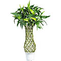 Silk Lucky Bamboo Tree