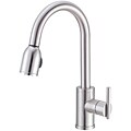 Danze Parma Stainless Steel Kitchen Faucet and Gift
