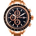 Triumph Motorcycles Men's Rose Goldtone Watch