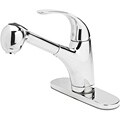 Chrome Deluxe Kitchen Multifunction Pullout Faucet