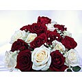 Bouquet of 24 Red and White Roses