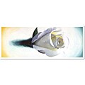 Roderick Stevens 'Single White Rose' Framed Canvas Art