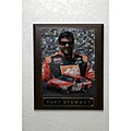 Tony Stewart NASCAR Picture Plaque