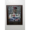 Dale Earnhart Jr. NASCAR Picture Plaque