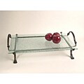 Rectangular Glass Tray with Iron Stand