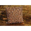 Positano Seashell Pillow