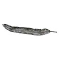 Electroplated Banana Leaf Plate