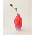 Medium Milky Red Decorative Bottle Vase