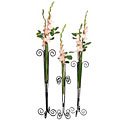 Tall Swirl Vases (Set of 3)