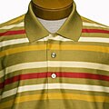 In Fiamme Men's Striped Golf Polo Shirt