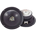 PylePro 400-watt Professional Premium PA 6-inch Woofer