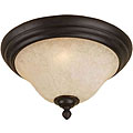 Harmony Family 2-light Flush Mount Light Fixture