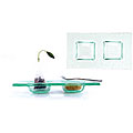 Fusion Sectional 2-compartment Plates (Case of 6)