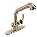 Fountain Cove Stainless Single Pull-down Faucet