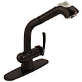 Fountain Cove Bronze Single Pull-down Faucet