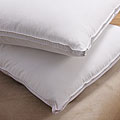 All-season Down Alternative Pillows (Set of 2)