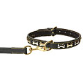 Designer Gold and Silver Bone Collar/ Leash Set
