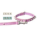 Leather Spike Studded Dog Collar and Leash Set
