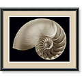 Charles Britt 'Ocean Keepsake II' Framed Art Print