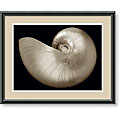 Charles Britt 'Ocean Keepsake I' Framed Art Print