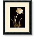 Charles Britt 'Classic Beauty' Framed Art Print