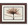 Steven N. Meyers 'A Rose' Framed Art Print