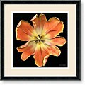 Harold Feinstein 'Exuberance' Framed Art Print