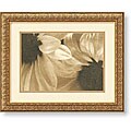Judy Silverstein 'Daisies I' Framed Art Print