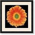 Harold Feinstein 'Radiance' Framed Art Print