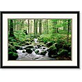 'Forest and Stream, Germany' Framed Art Print