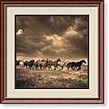 Adam Jahiel 'Remuda #6' Framed Art Print
