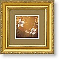Don Li-Leger 'Garden Delights III' Framed Art Print