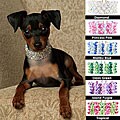 Red Carpet Pick of the Glitter Crystal Dog Collar