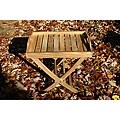 Tray Table
