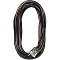 25-foot Extension Cord with Lighted End