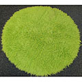 Premium Flokati Lime Green Rug (6' Round)
