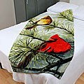 Hautman Brothers Cardinals Beach Towels (Set of 3)