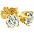 14k Yellow Gold Promotional 1/2ct TDW Diamond Studs (IJ, I2-I3)