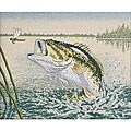 'Large Mouthed Bass' Counted Cross Stitch Kit