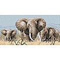 Power of the Serengeti Counted Cross Stitch Kit