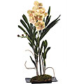 Silk Vanda Orchid Arrangement