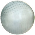 Professional 55 cm Exercise Ball with Pump