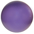 Professional 65 cm Exercise Ball