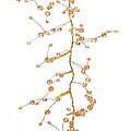 Beaded Bronze LED Garlands (Set of 2)