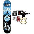 Flip Rodrigo TX Psych Complete Skateboard