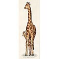 Giraffe Mother and Baby Counted Cross Stitch Kit